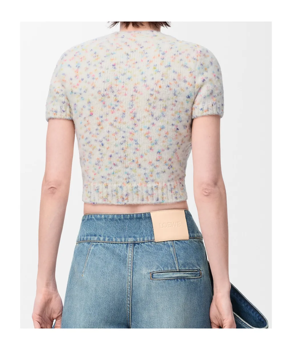 Loewe Short-Sleeved Sweater
