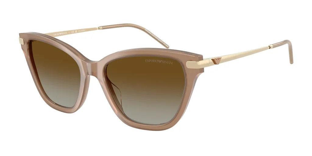 Full Frame Sunglasses