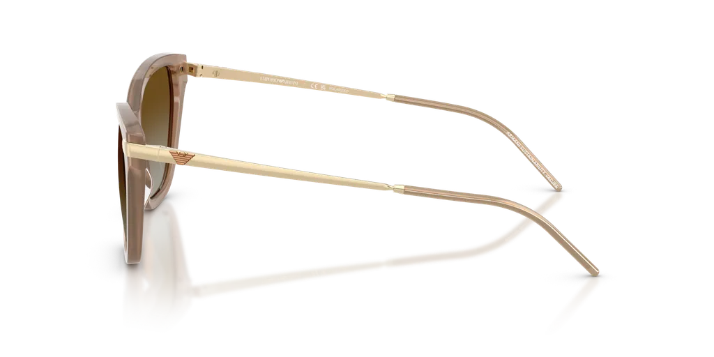 Full Frame Sunglasses