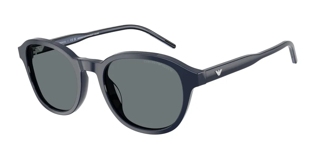 Full Frame Sunglasses
