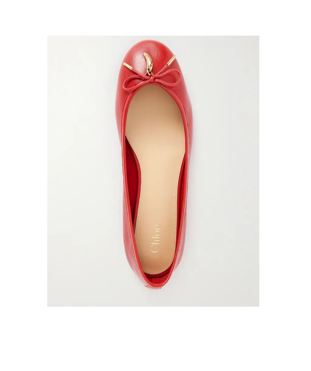 Iris Ballet Flats