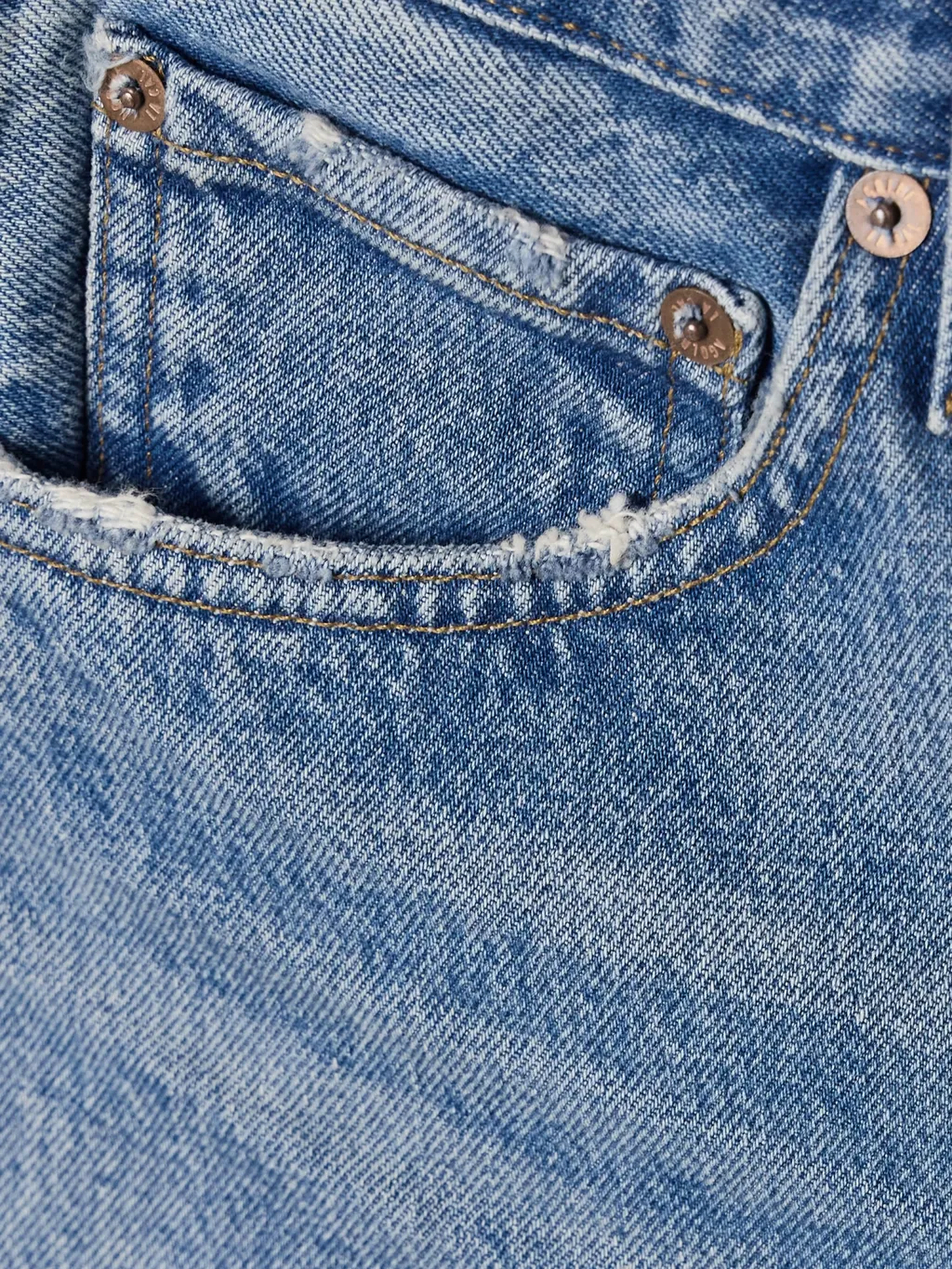 Ripped Denim Shorts