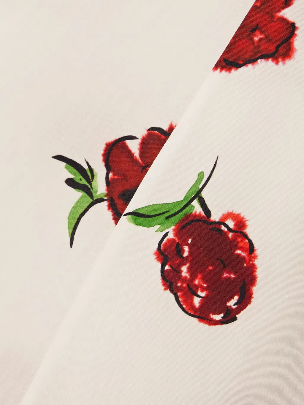 Isabella Floral-Print Midi Dress