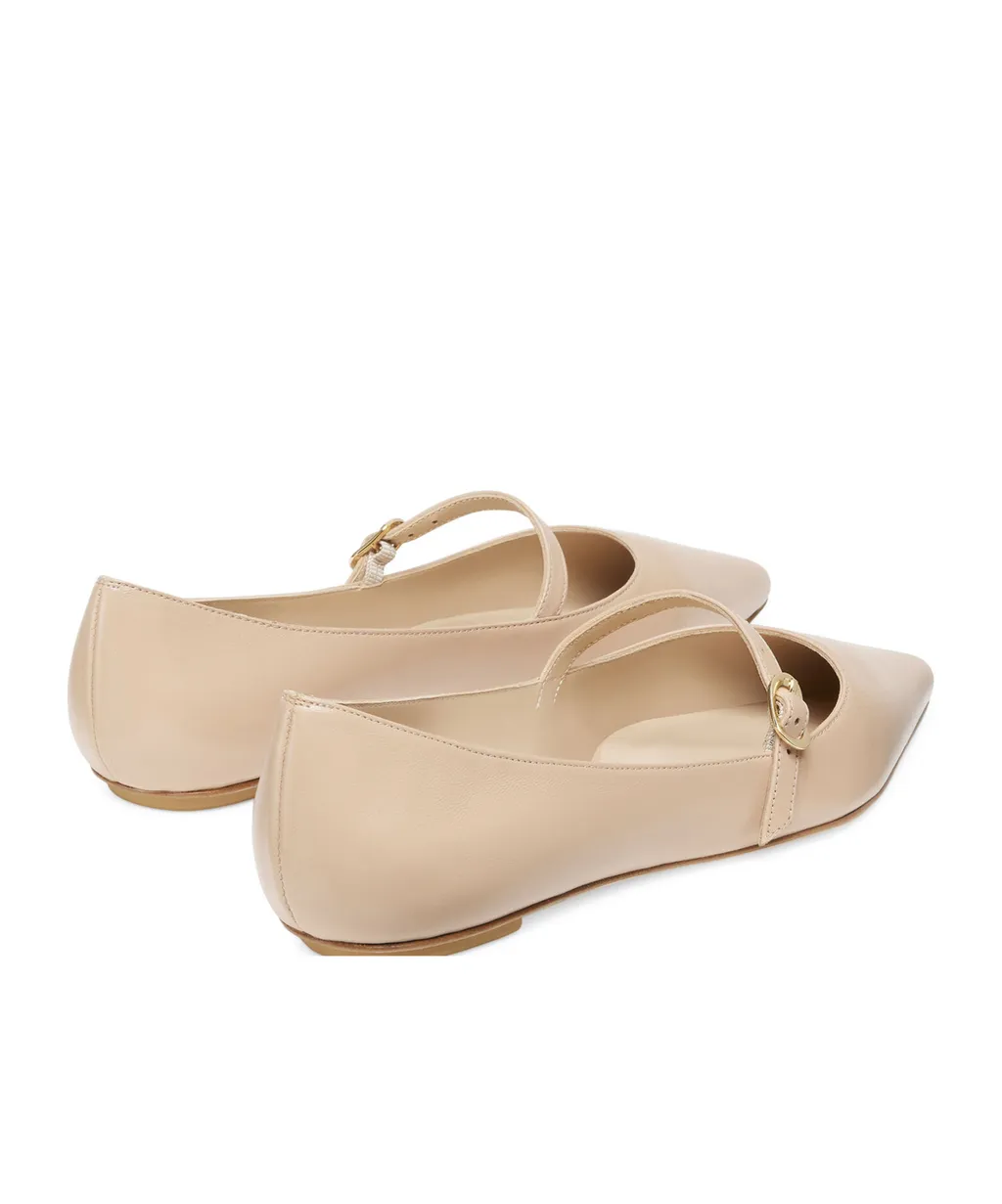 Pointed Ballet Shoes