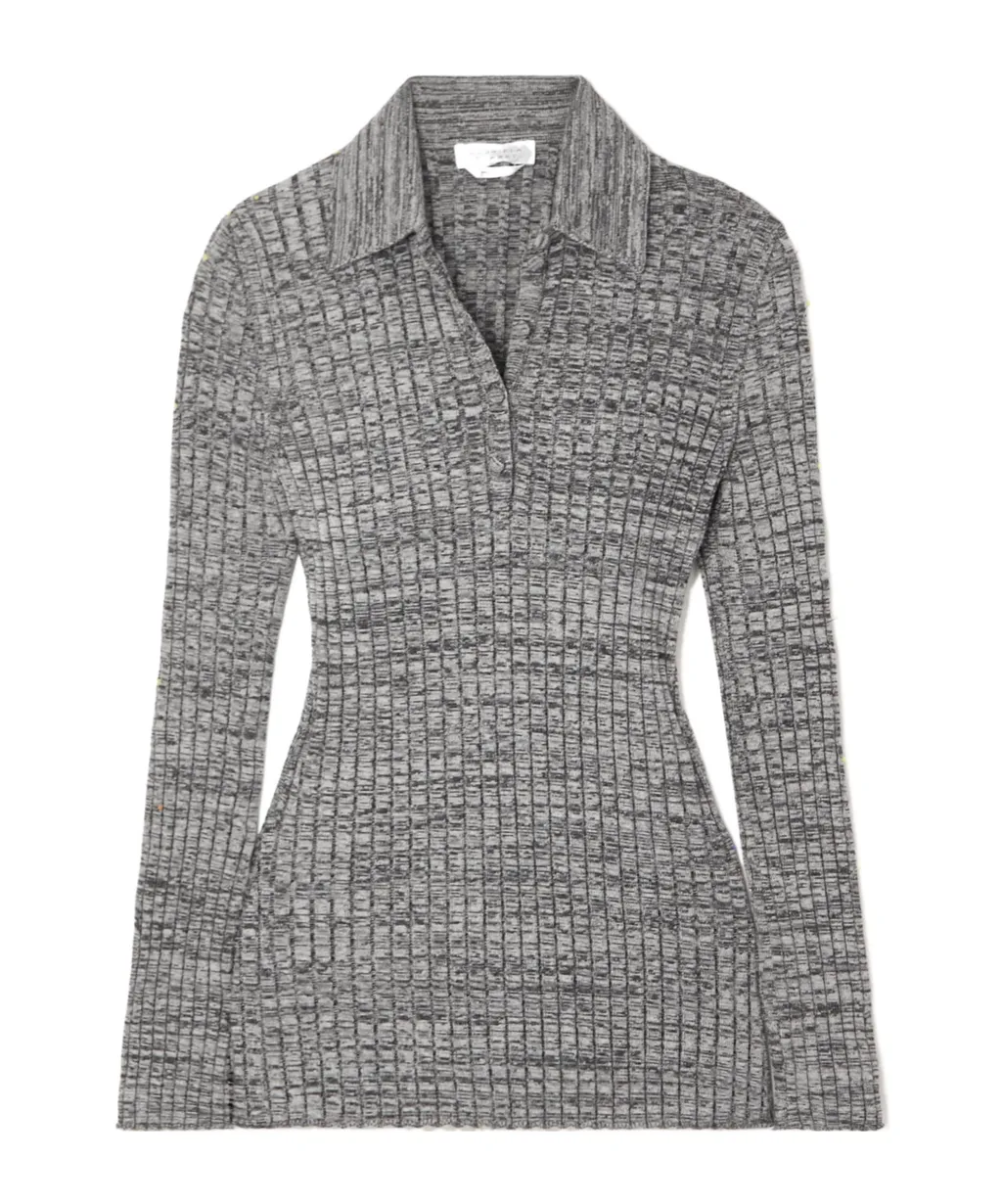 Long-Sleeved Knit Polo Shirt