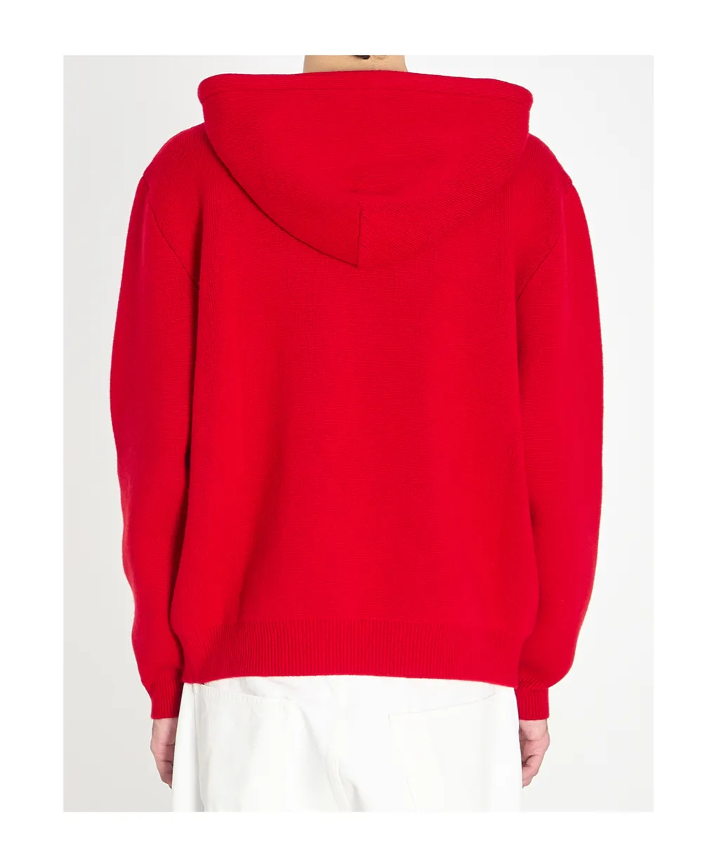 Hooded Sweater In Cashmere