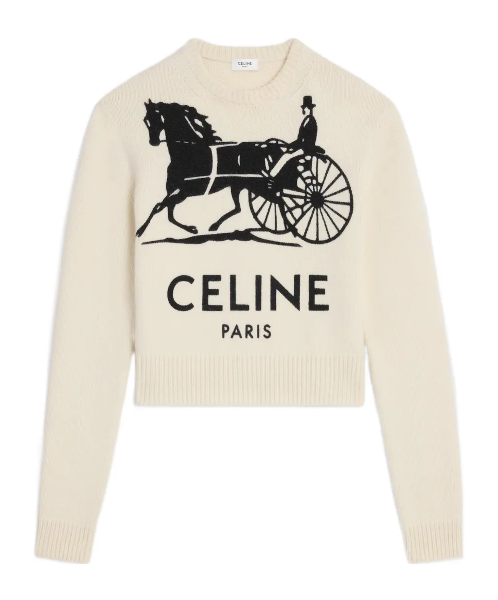 Crewneck Sweater In Cashmere