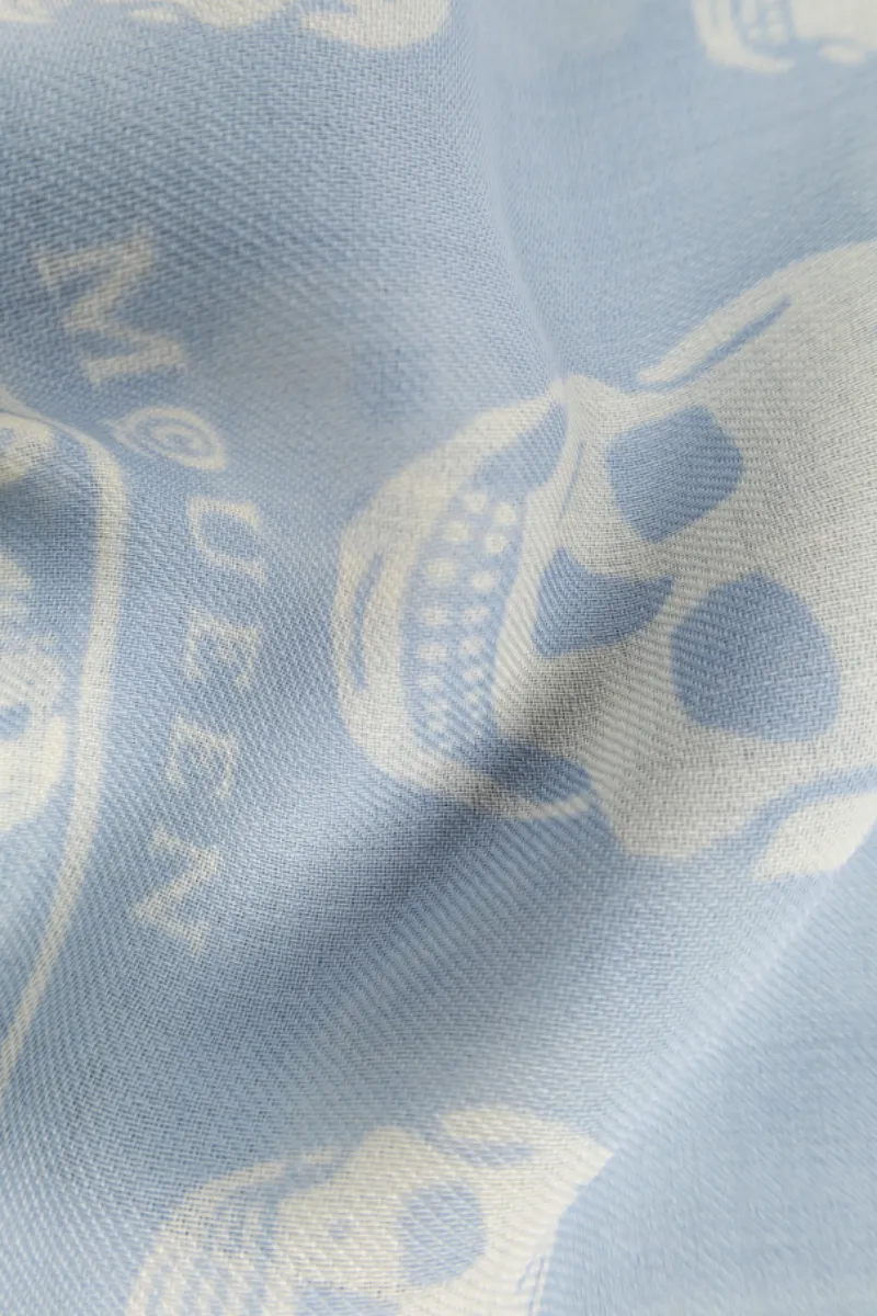 Alexander Mcqueen Skull Printed Fringed Edge Scarf