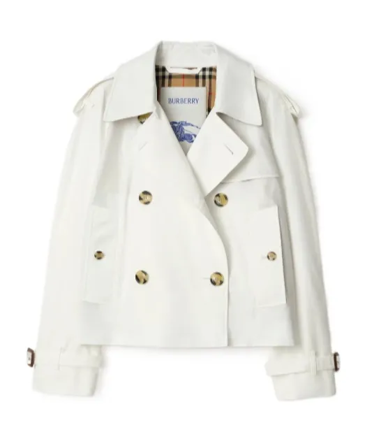 Double-Breasted Trench Jacket