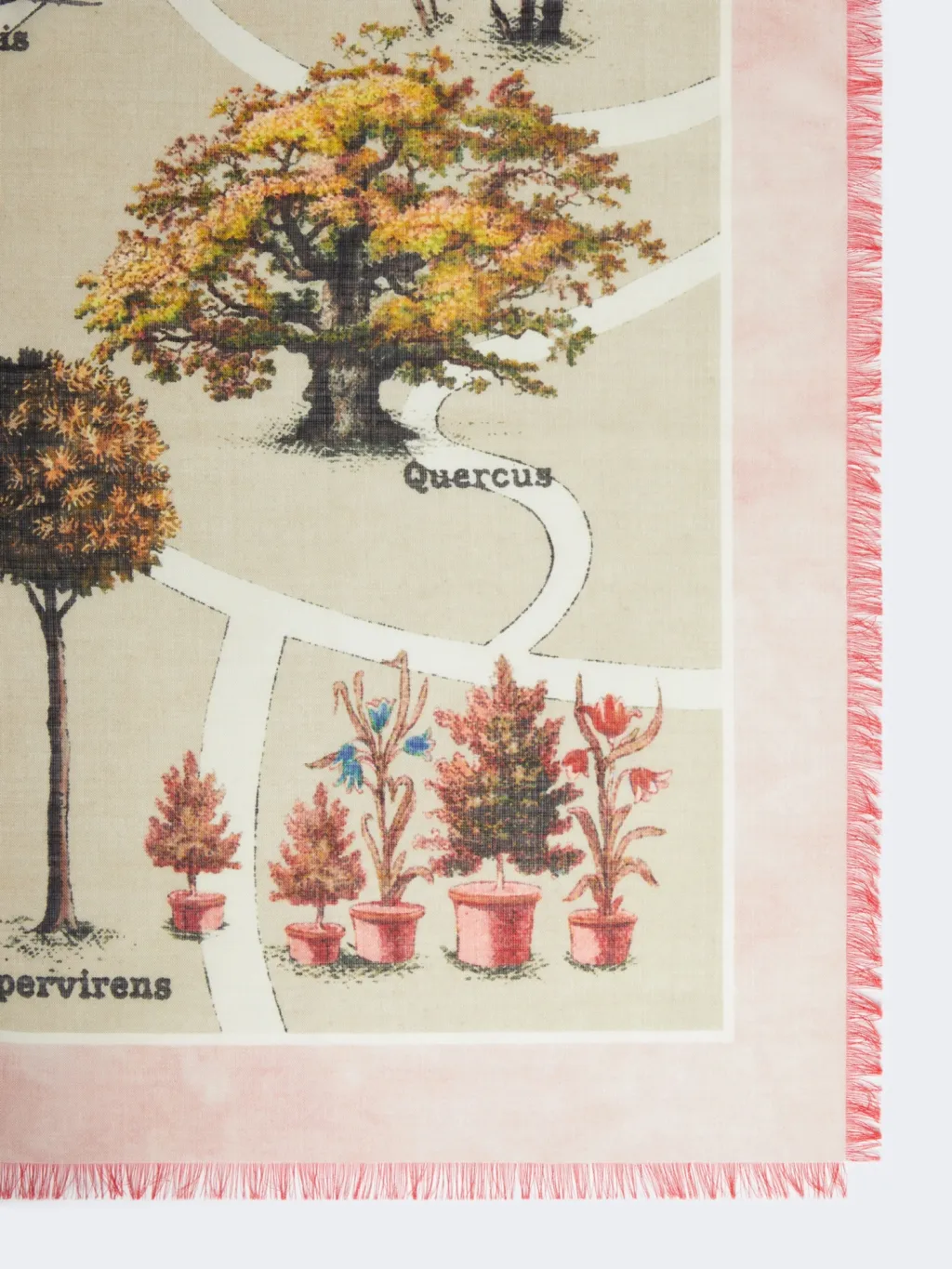 Oversized Scarf In Printed Silk And Wool - Antique Rose