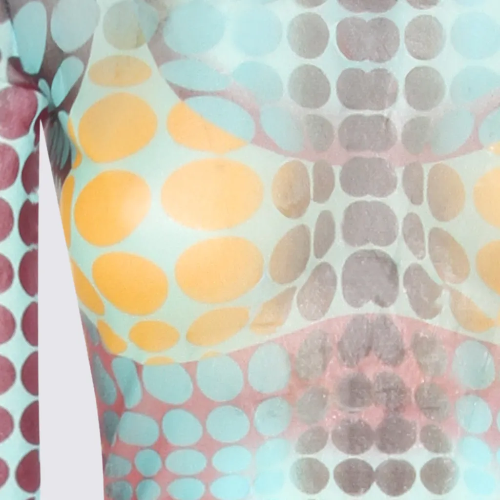 Printed Long-Sleeved Dress