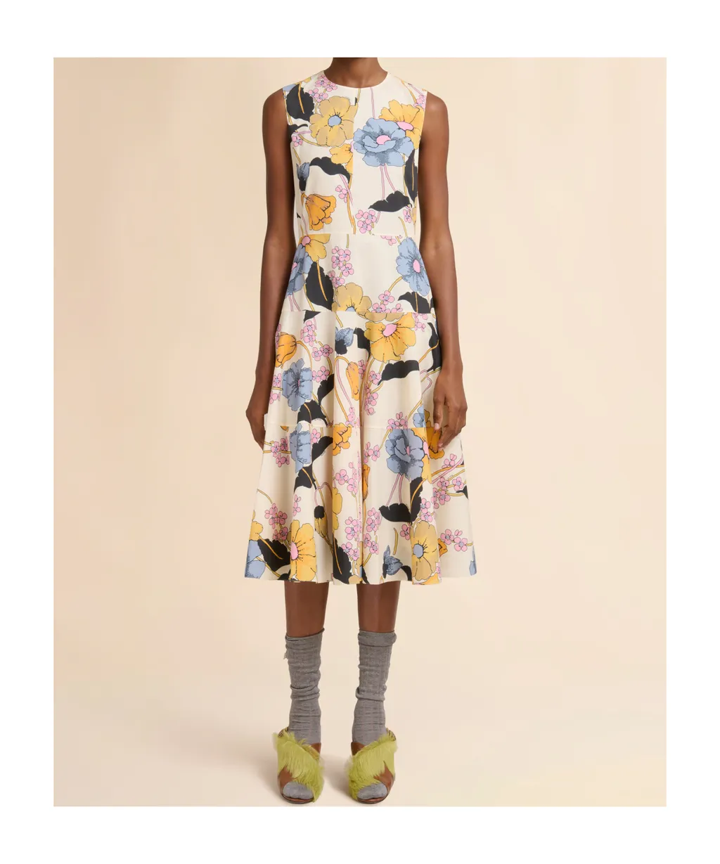 Marni Melodia Print Poplin Midi Dress