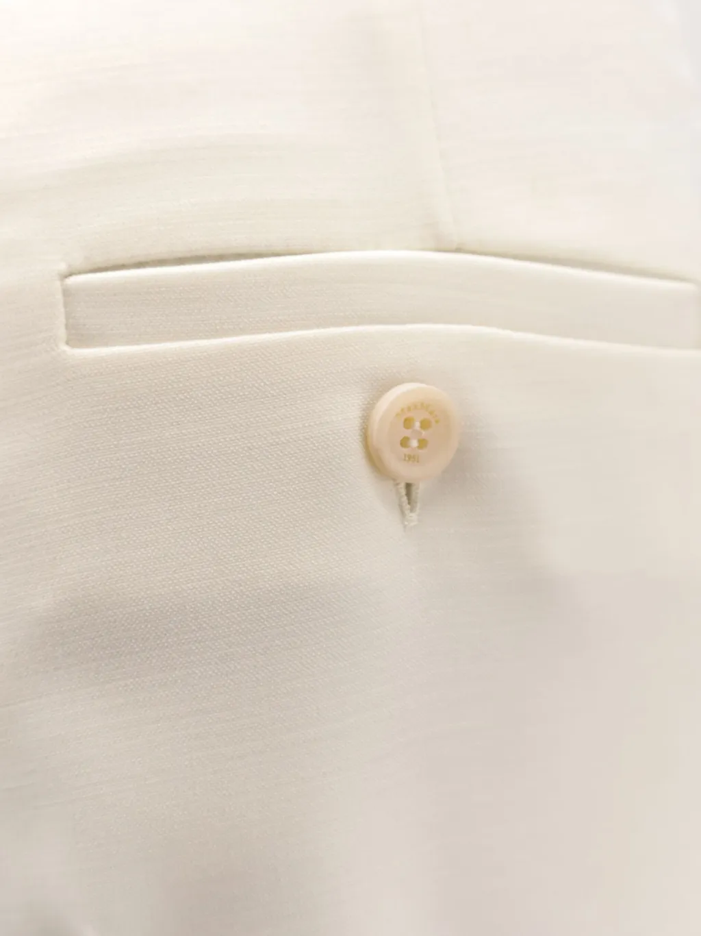 Pleated Trousers