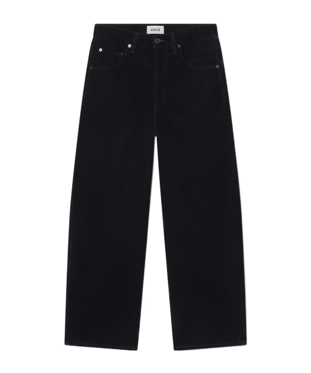 Agolde Low Curve Velvet Jeans