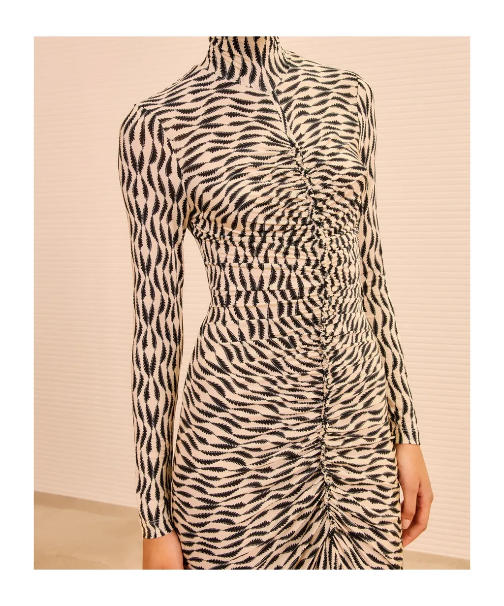 Ida Long-Sleeve Ruched Turtleneck Maxi Dress