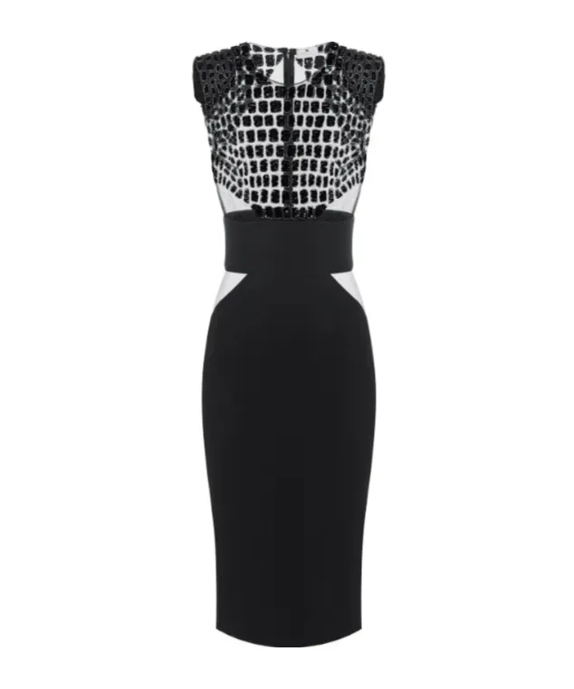 Elisabetta Franchi Lightweight CrÊPe Tulle Embroidered Dress