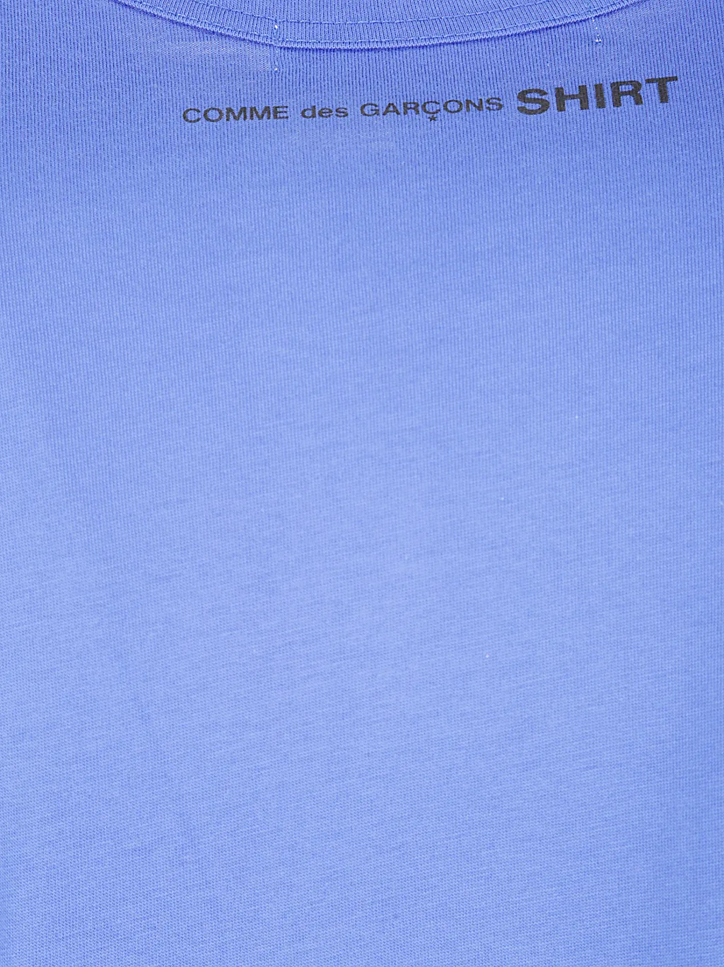 Comme Des GarÇOns Shirt Long Sleeve Crewneck T-Shirt