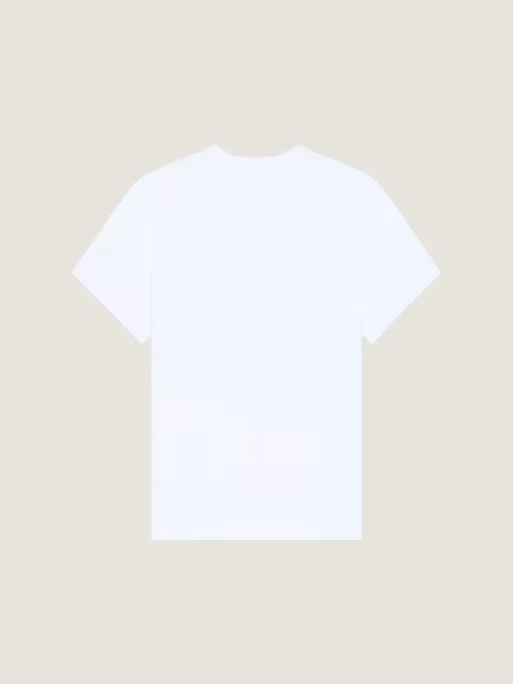 Givenchy Graphic Printed Crewneck T-Shirt