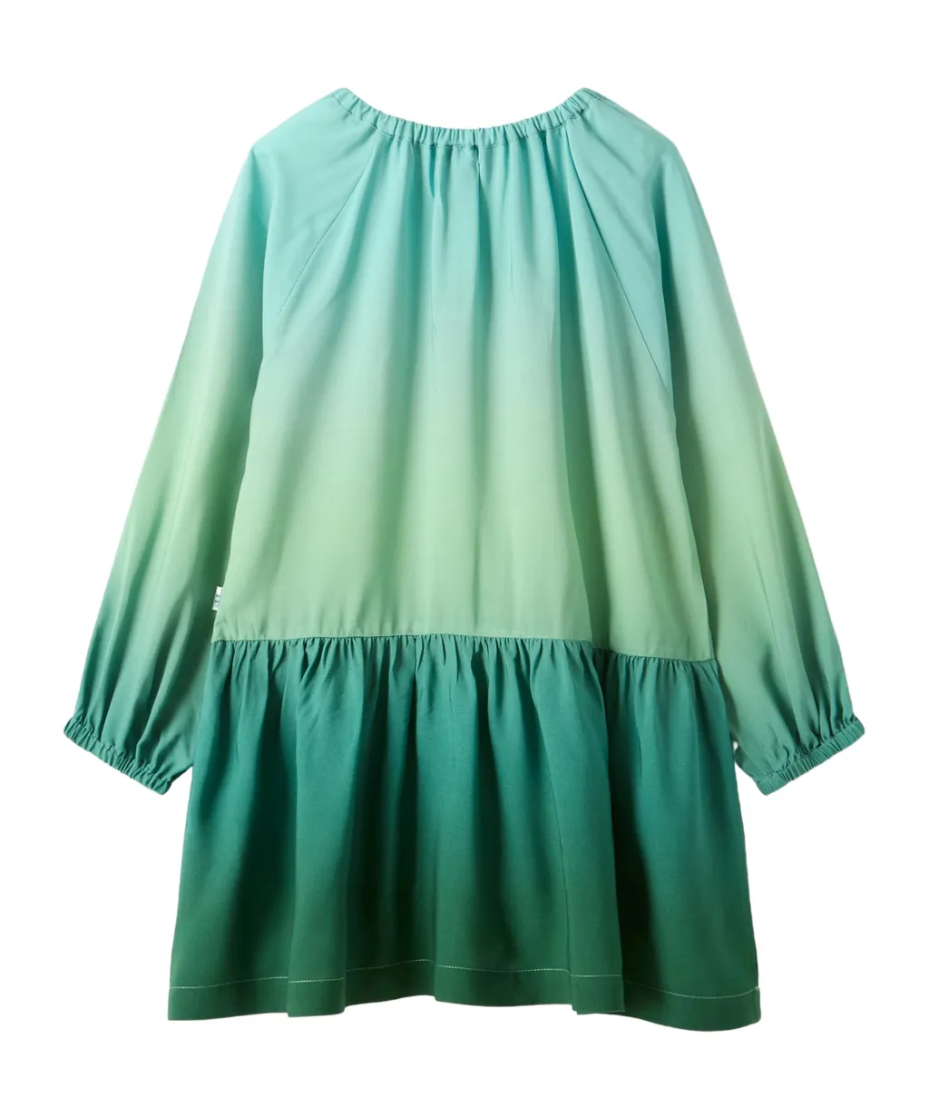 Ruffled Dress