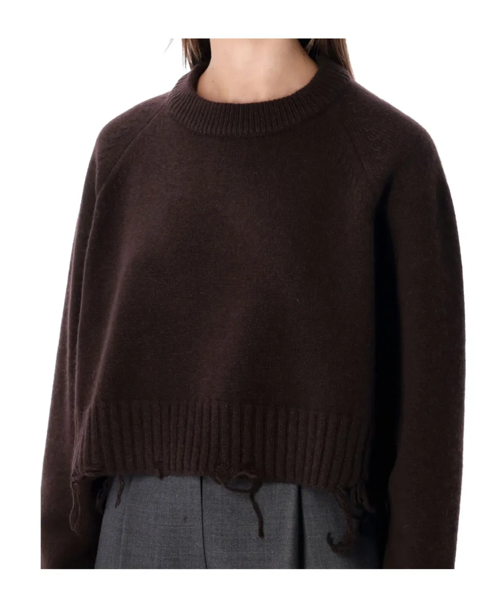 Low Classic Damaged Cropped Knitted Sweater
