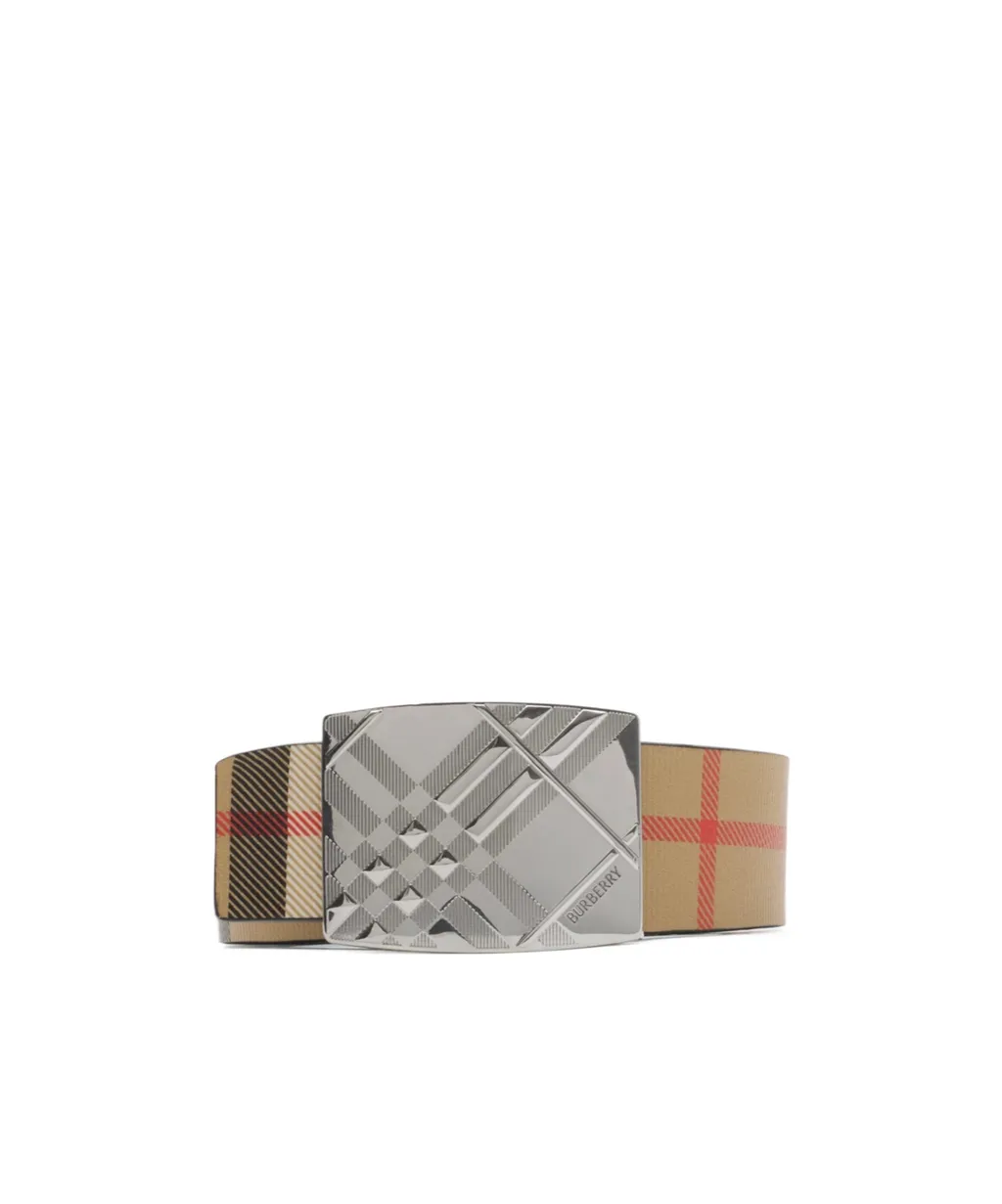 Check-Pattern Reversible Belt