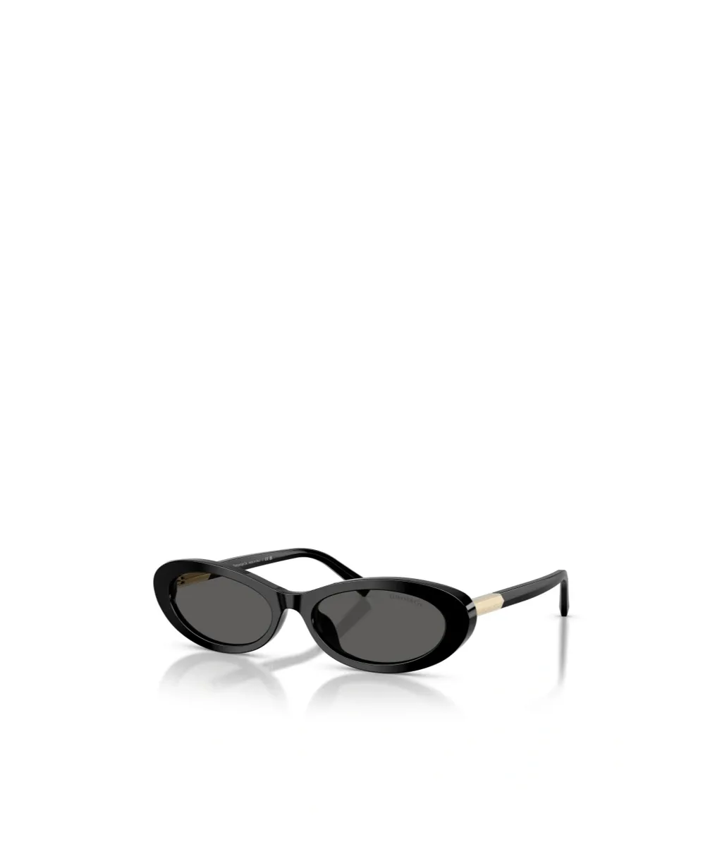 Tiffany & Co. Oval Frame Sunglasses