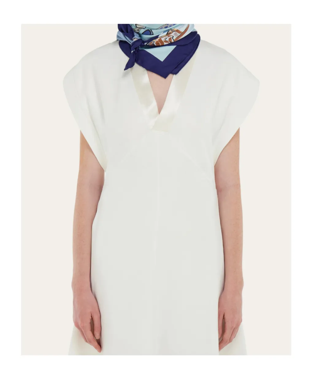 Genio Print Silk Scarf