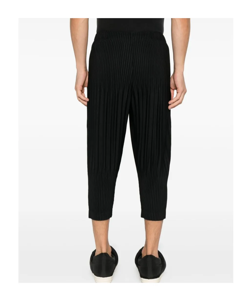 Pleated Trousers