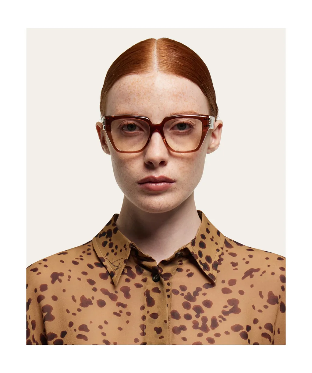Optical Glasses