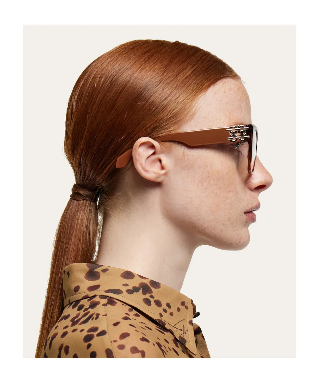 Optical Glasses