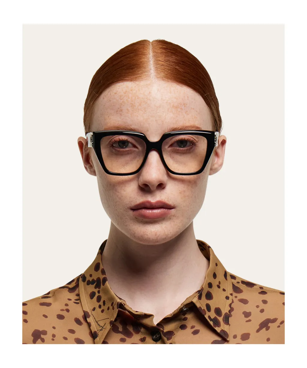 Optical Glasses