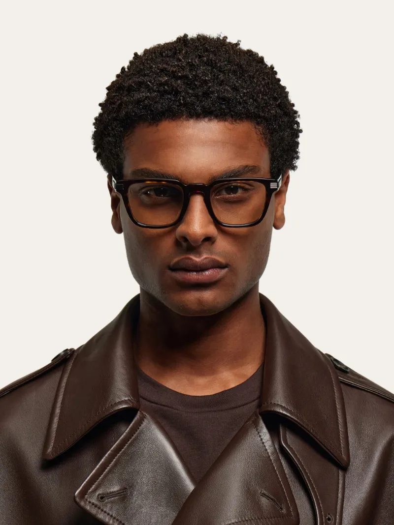 Optical Glasses