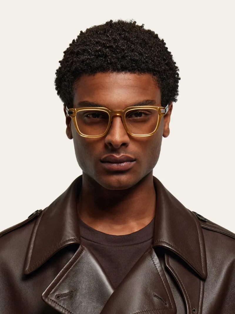 Optical Glasses