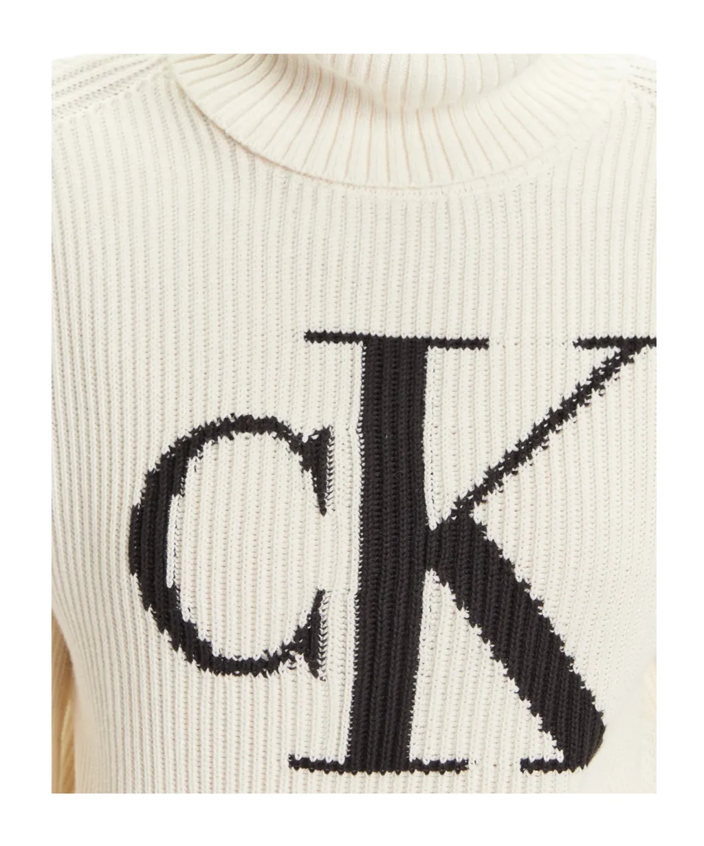 Turtleneck Sweater