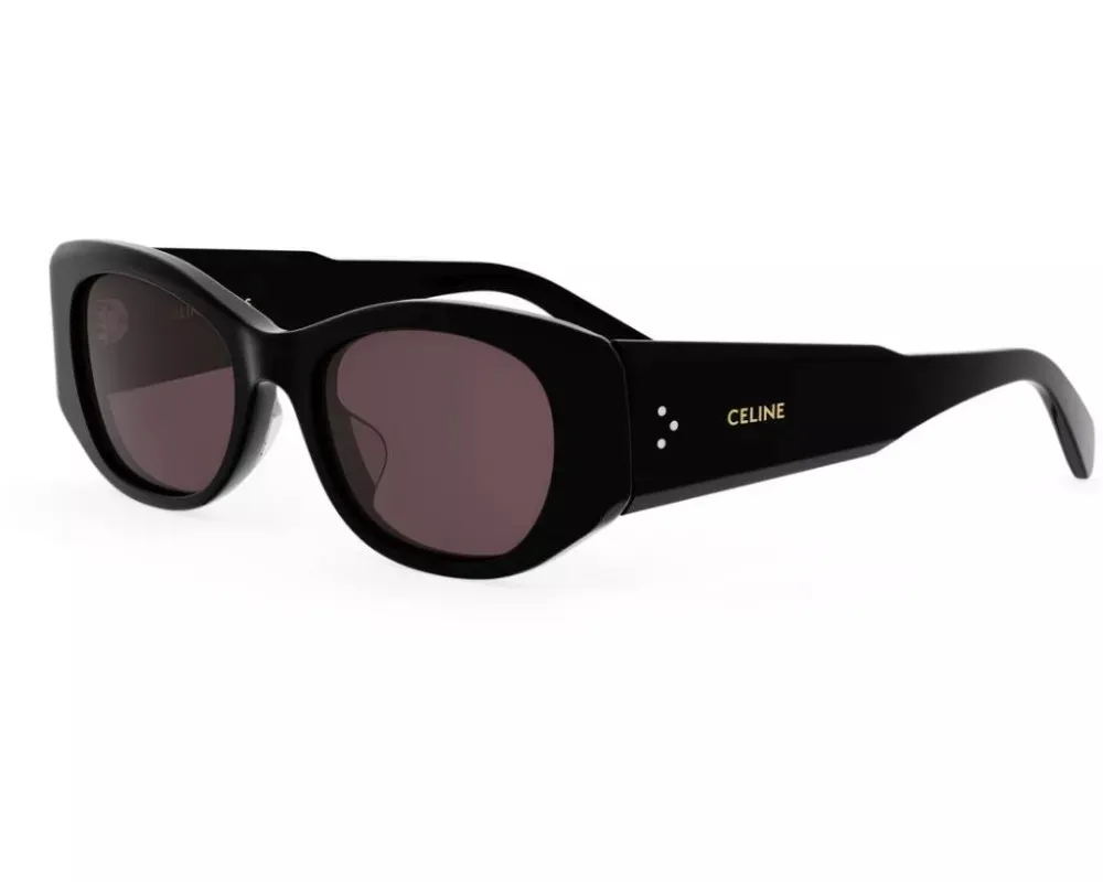 Full Frame Sunglasses