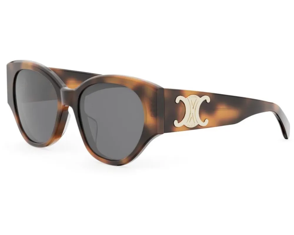 Full Frame Sunglasses