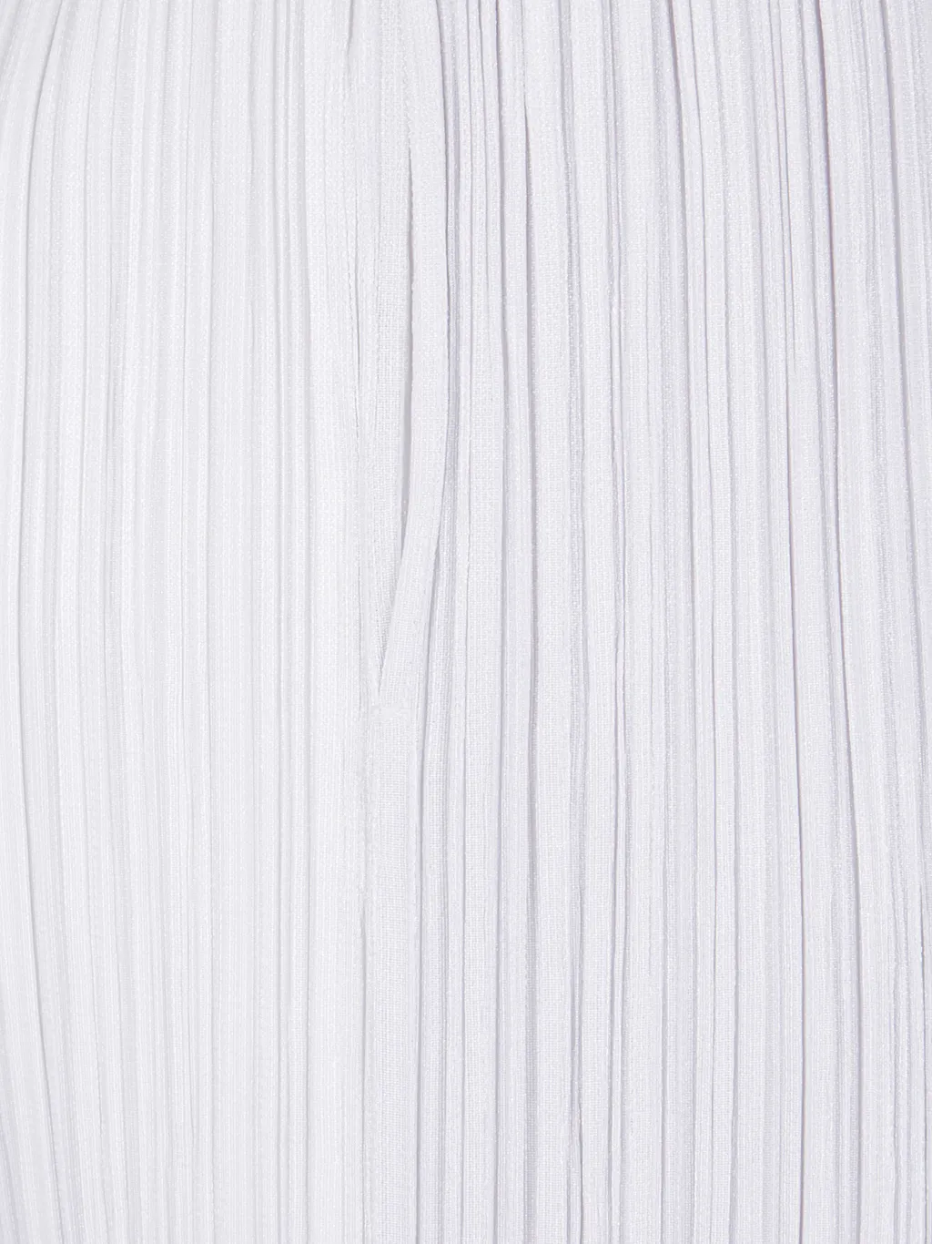 Pleated Trousers
