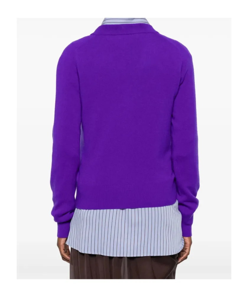 V-Neck Sweater