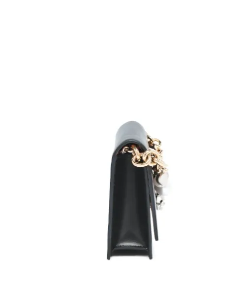 Alexander Mcqueen Skull Embellished Chained Clutch Bag