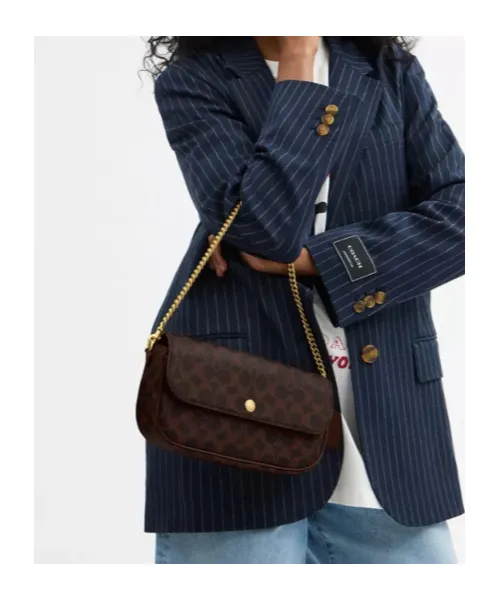 Brook Flap Chain Bag In Signature Canvas
