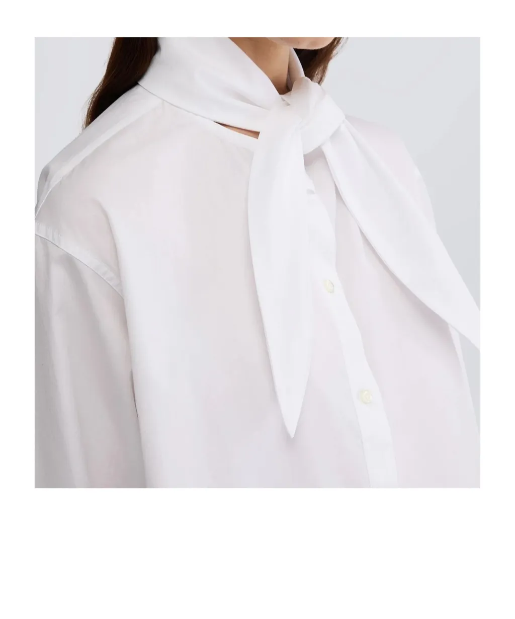 Button-Down Shirt