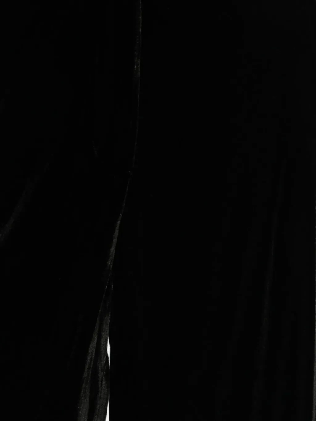 Raquel Diniz Wide-Leg Pants