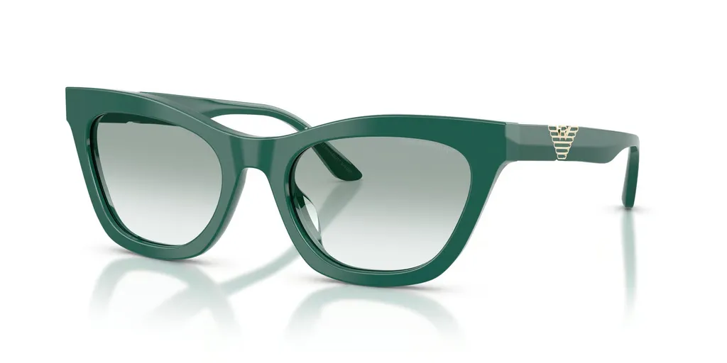 Full Frame Sunglasses