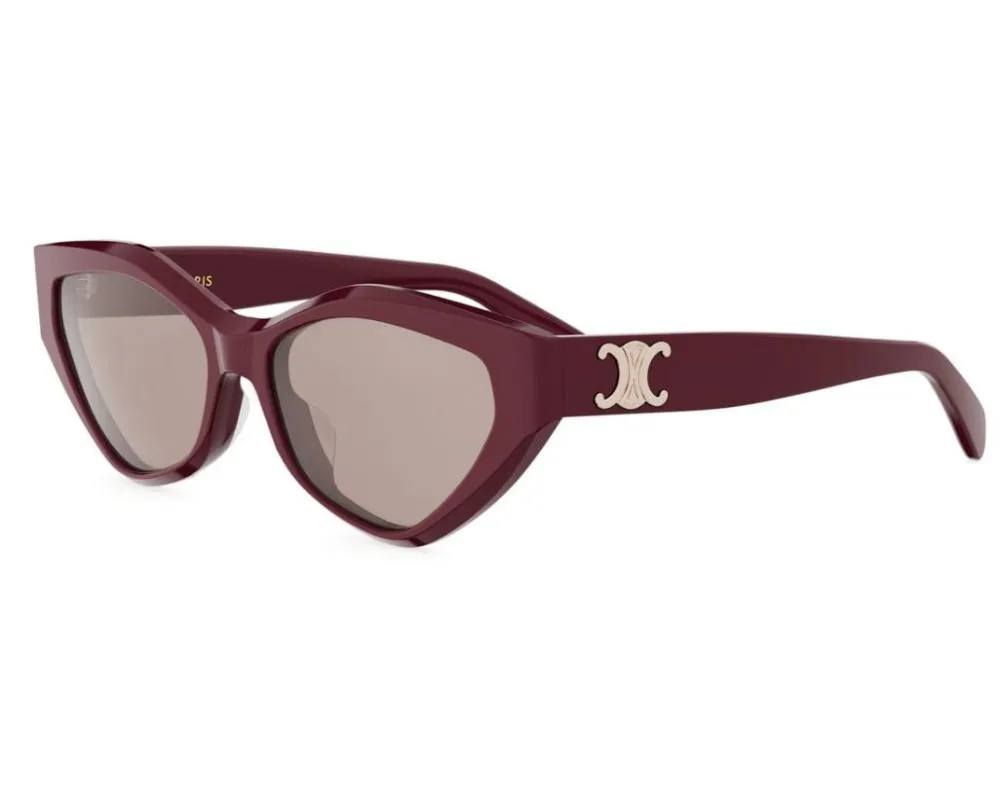 Full Frame Sunglasses