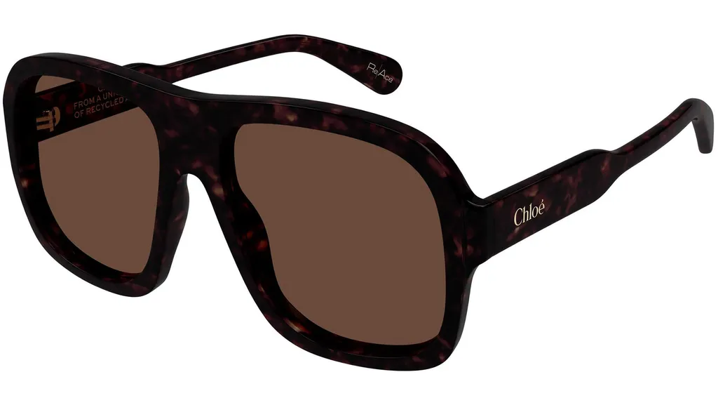 Chloé Eyewear Square Frame Sunglasses