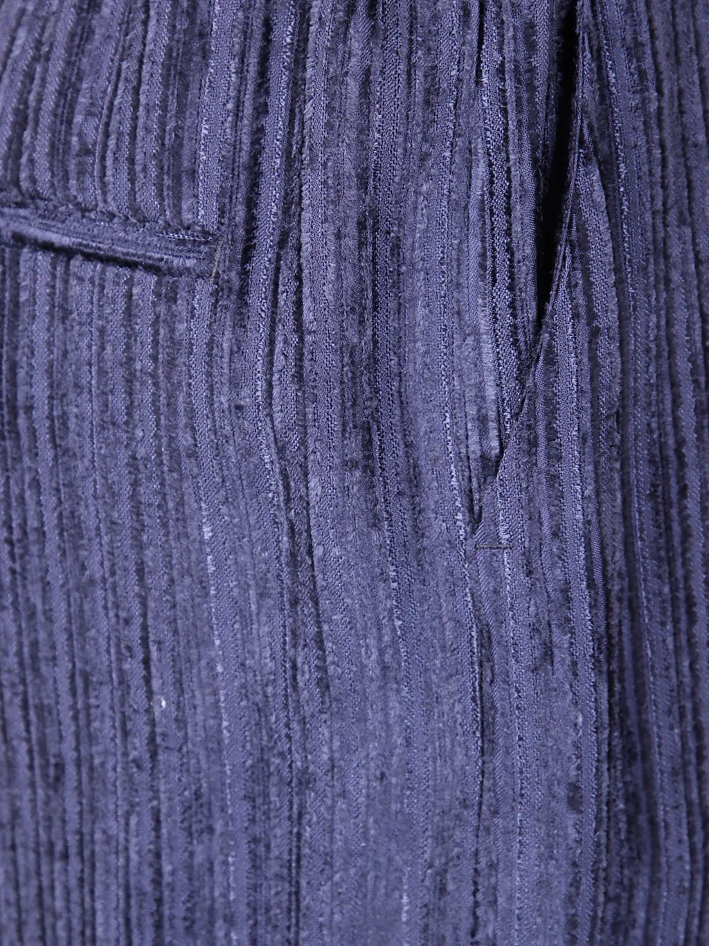 Pleated Trousers