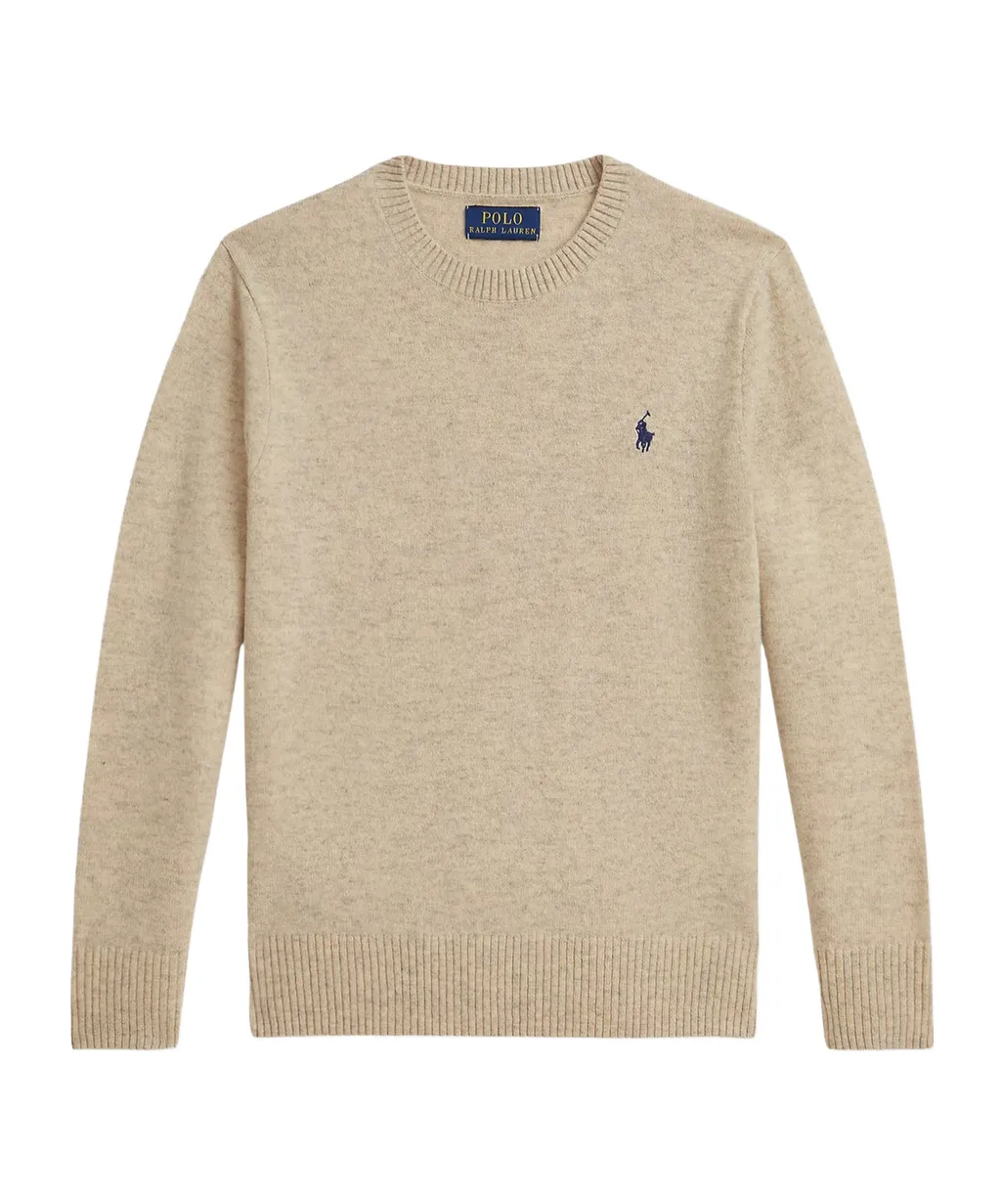 Polo Ralph Lauren Kids Embroidered Wool Sweater