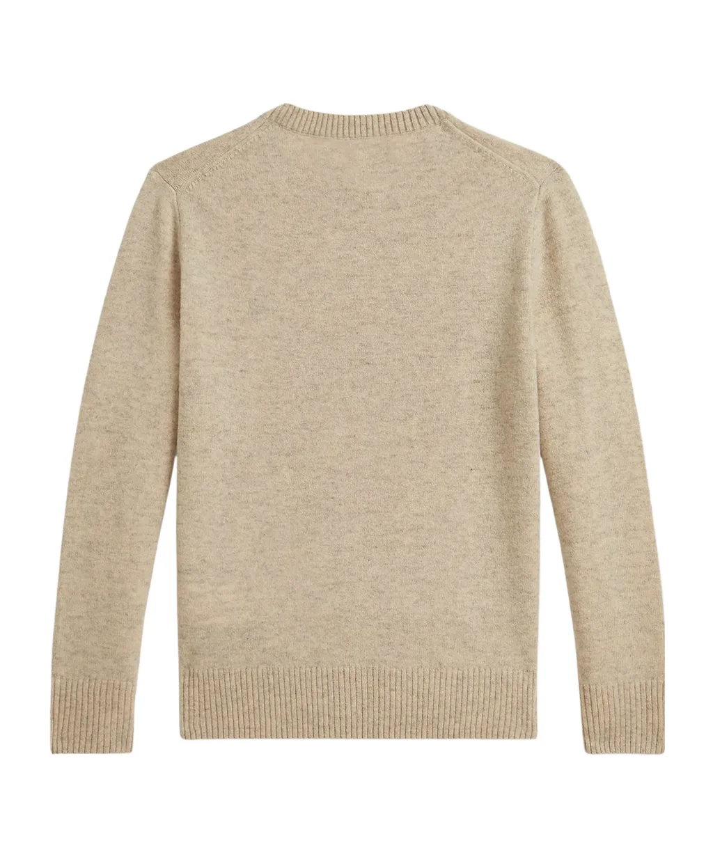 Polo Ralph Lauren Kids Embroidered Wool Sweater
