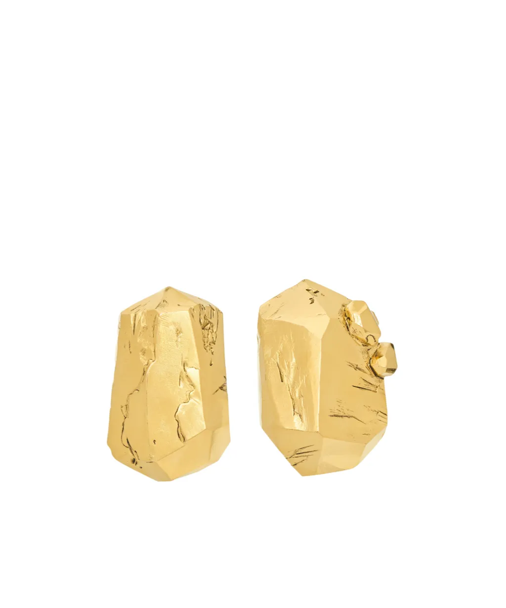 Organic Earrings In Metal