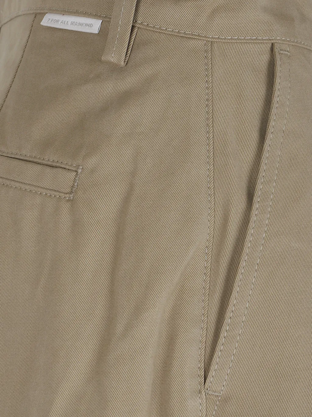 Pleated Trousers